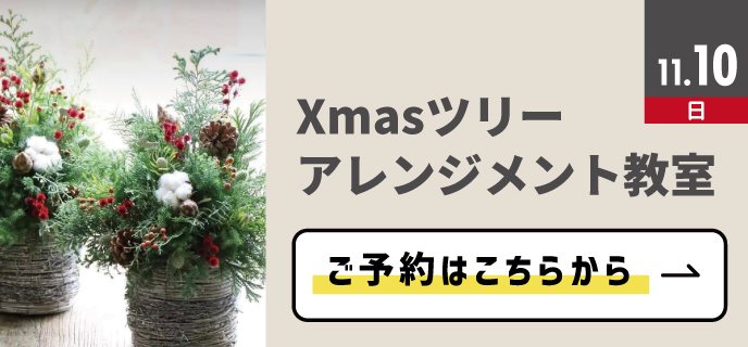 新百合-Xmasツリーアレンジメント教室