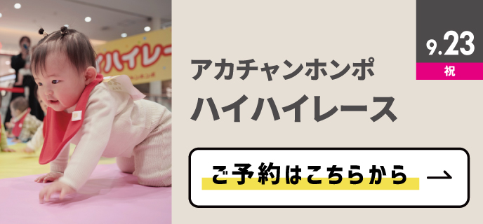 ハイハイレース