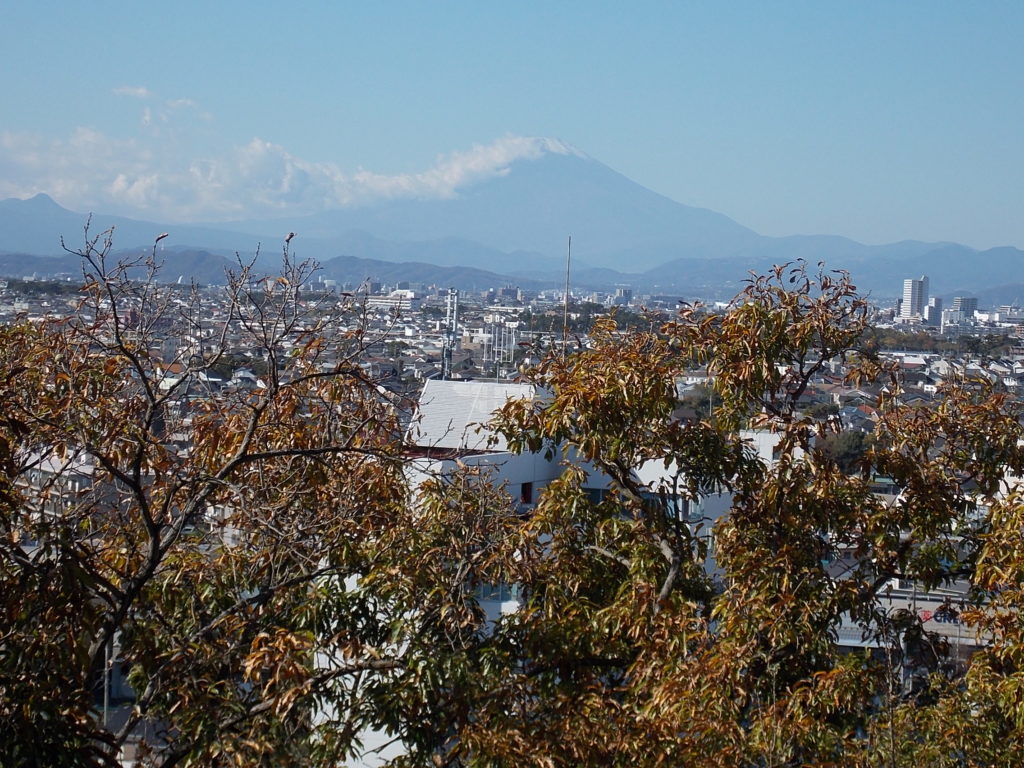 新林公園展望台