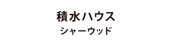 グラヴィス・ベルサ