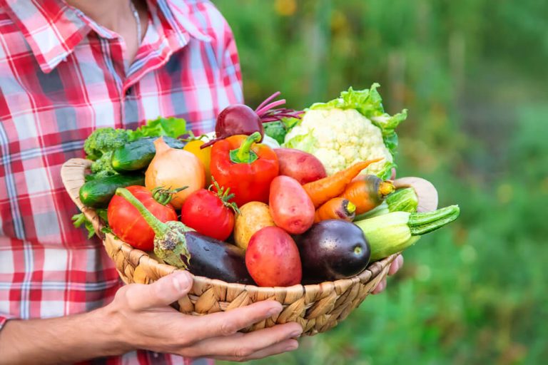 初心者でも楽しめる家庭菜園! 始め方から野菜栽培のコツまで紹介 野菜を持った女性